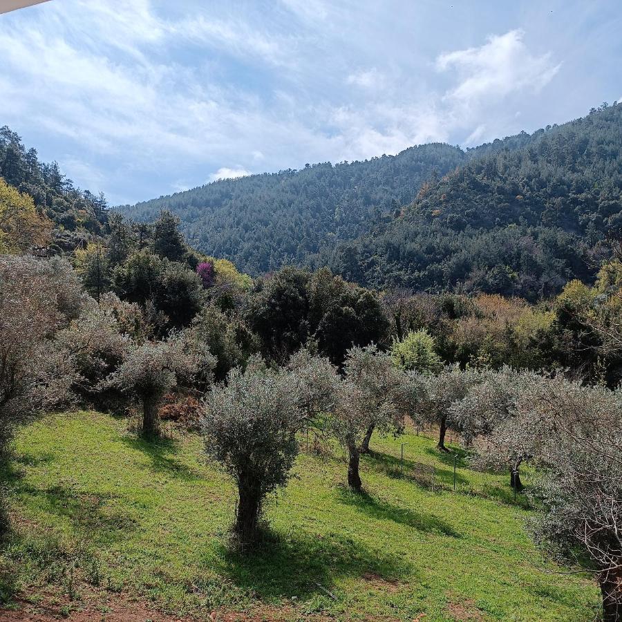 Evergreen Thassos Скала-Потамьяс Екстер'єр фото